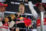 El alemán Sebastian Vettel (Red Bull), vencedor de la última carrera de la temporada, se ha proclamado nuevo campeón del mundo de Fórmula 1 en el circuito de Abu Dhabi