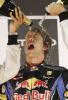 El alemán Sebastian Vettel (Red Bull), vencedor de la última carrera de la temporada, se ha proclamado nuevo campeón del mundo de Fórmula 1 en el circuito de Abu Dhabi