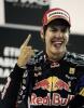 El alemán Sebastian Vettel (Red Bull), vencedor de la última carrera de la temporada, se ha proclamado nuevo campeón del mundo de Fórmula 1 en el circuito de Abu Dhabi
