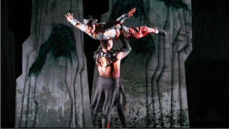 GRAN CIRCO ACROBÁTICO DE CHINA. Palacio de Congresos de Villanueva de la Serena